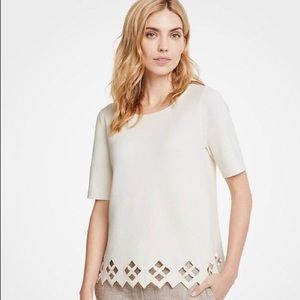 Exceptional Value!  White Lattice Cutout Sweater!